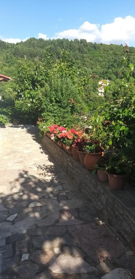 Το Σπίτι Της Ευτυχίας Σουίτα Apartment Karpenisi Exterior photo
